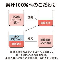 チューハイ カジューハイ100％ 3種飲み比べセット 1セット(3種×各2本)