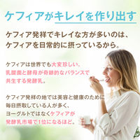 日本ケフィア 16包入オリジナルケフィア×1袋 4955079122015 1袋(16包入)（直送品）