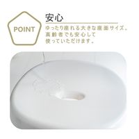 風呂いす Ag抗菌 座面高さ 30cm グレー 4本脚タイプ Emeal エミール 1個 アスベル