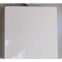 ニッペホームプロダクツ ホームクリーナー 420ml HPE100-420 1箱（12本入）