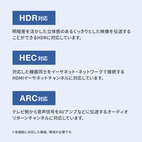 サンワサプライ  ラッチ付HDMIケーブル（7m） KM-HD20-P70L（直送品）