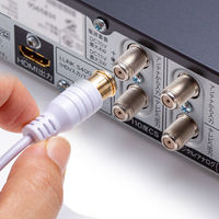 サンワサプライ アンテナ分配器 出力ケーブル0.5m KM-AT28BV-05W 1本