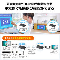 サンワサプライ  HDMIエクステンダー(4K対応・120m延長） VGA-EXHDPOC（直送品）