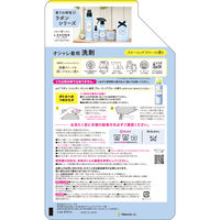 ラボン LAVONS シャレボン オシャレ着洗剤 ブルーミングブルー 詰め替え 2倍サイズ 800ml 1個 衣料用洗剤 ネイチャーラボ