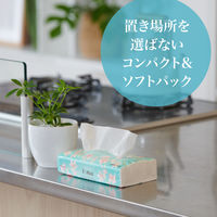 【アウトレット】【アウトレット】ティッシュペーパー 150組（5個）エリエール イーナソフトパック 海外 1ケース（1パック（5個入）×20） 大王製紙