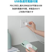 Anker PowerWave Magnetic Pad Lite