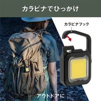 充電式ぴかり MINI LIGHT マットブラック 1個 ムサシ 犬用 お散歩
