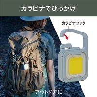 充電式ぴかり MINI LIGHT ダスティブルー 1個 ムサシ 犬用 お散歩