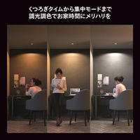 シグニファイジャパン ホワイトグラデーションE26 電球 100W形相当 PH10WA1 1個（直送品）