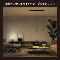 Signify ホワイトグラデーション E17 電球 40W形相当 PH17WA1 1個（直送品）