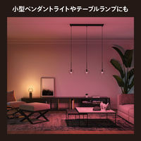 Signify フルカラー E17 電球 40W形相当 2個セット PH17WC2 1箱(2個)（直送品）