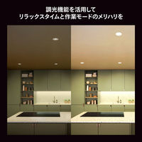 Signify ホワイト E26 電球 75W形相当 PH75WH1 1個（直送品）