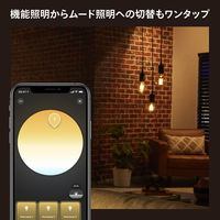 Signify フィラメント ホワイトグラデーション E26 電球 一般電球形 40W形相当 PHFL60 1個（直送品）