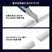 Signify グラデーションライトリボン エクステンション(1m) PHGLS1 1個（直送品）