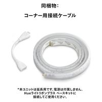 Signify ライトリボンプラス エクステンション(1m) PHLSP1 1個（直送品）