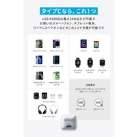 Anker Nano Charger （20W）