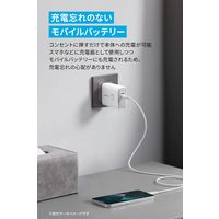 モバイルバッテリー Anker 521 PowerBank(PowerCoreFusion 45W) A1626N11 1個