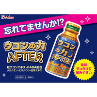 ウコンの力 AFTER（アフター） グリーンアップル風味 1セット（1本（100ml）×6） ハウスウェルネスフーズ