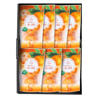 アデリー 2024【御歳暮】のし付き 小林果園 甘みぎゅっと凍らせ蜜柑 KEA-01A 1箱（直送品）