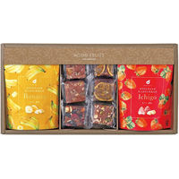 アデリー 2024【御歳暮】のし付き ホシフルーツ 果実とショコラ 8個 HFKC-001 1箱（直送品）