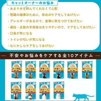 i CARE（アイケア）便臭ケア まぐろペースト 国産 35g 1セット（1袋×24）アイシア キャットフード