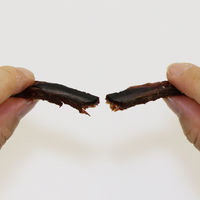 ペティオ 素材そのまま 無添加 まぐろスティック 55g 1セット（1袋×3）犬用 おやつ