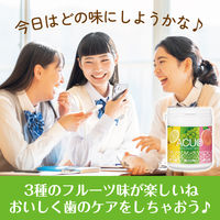 ロッテ ACUO <フルーツアソートボトル> 138g 6個 アクオ ガム ボトルガム