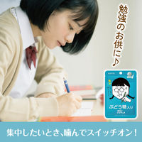 ぶどう糖入りガム 18g 12個 ガム ロッテ