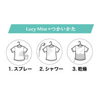 洗濯機いらずスプレー洗浄剤 ルーシーミスト 45mL 1セット（1個×3） 衣料用洗剤 ハッシュ