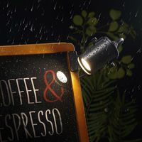 ヤザワコーポレーション LED一体型防雨クリップライト CWLL1BK 1台