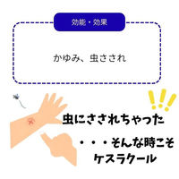 ケスラクール液 20ml 鎮痒消炎剤 虫さされ かゆみ ロールオンタイプ【第2類医薬品】