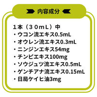 新パスゲン内服液プラス 30mL×2本 生薬配合胃腸薬 二日酔いのむかつき【第3類医薬品】