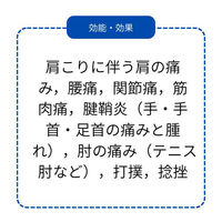 サリスターFBパップ 32枚入 肩こり 腰痛 関節痛 筋肉痛【第2類医薬品】
