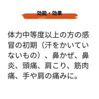 葛根湯エキス顆粒[大峰] 60包入 漢方薬 かぜの初期症状 感冒 鼻かぜ 頭痛 肩こり【第2類医薬品】