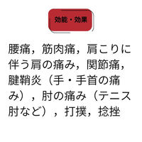 ラフェルサ サリスターパップID温感 30枚 関節痛 腰痛 肩こり痛【第2類医薬品】