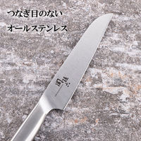 貝印 ペティナイフ オールステンレス コンパクト フルーツ ケース付 関孫六 000DH3355 1個