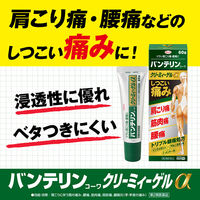 バンテリンコーワクリーミィーゲルα 60g 2箱セット 興和  痛み止め 塗り薬 肩こり痛 筋肉痛 腰痛【第2類医薬品】