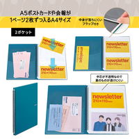プラス イトオシ ツインリング型ファイル A4 2ポケットタイプ グリーン 91823 1冊