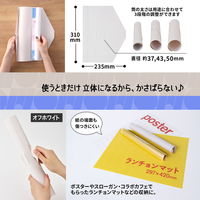 プラス イトオシ ポスターファイル A3幅対応 オフホワイト 不透明 91529 1セット（1パック（2枚入）×5）