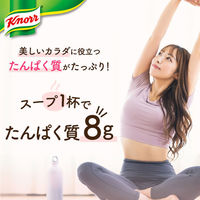 クノール　たんぱく質がしっかり摂れるスープ　2種セット（30食入）