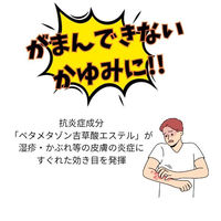 レチナートVSクリーム 10g しっしん、かぶれ、しもやけ、虫さされ、じんましん ステロイド外用剤【指定第2類医薬品】