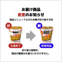 日清食品 カップヌードル カレー ビッグ カップ麺大盛 カップラーメン 1セット（12食）