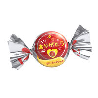 ボノボン クリーミークリーム 1セット（1個×30） モントワール チョコレート