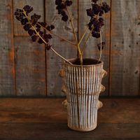 スパイス Wow!クールアフリカン ホワイトイレギュラーライン ポット B CPGH1240C 1個（直送品）