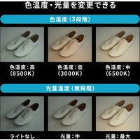 サンワサプライ LEDリングライト（クリップ付き） 200-DG020 1個（直送品）