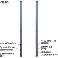 サンワサプライ モバイルモニター15.6インチ DP-01 1個（直送品）