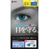 サンワサプライ 23.8型ワイド対応ブルーライトカット液晶保護指紋防止光沢フィルム LCD-BCG238W 1枚（直送品）