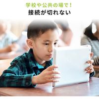 有線キーボード　パンタグラフ　Lightning接続　コンパクト　ブラック　SKB-IP3BK　サンワサプライ　1個（直送品）