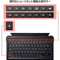 サンワサプライ iPad用スマートコネクタキーボード SKB-IP5BK 1個（直送品）