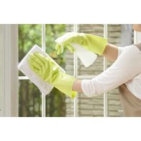 【ビニール手袋】 ショーワグローブ ナイスハンドミューうす手 NHMIU-MG グリーン 1双